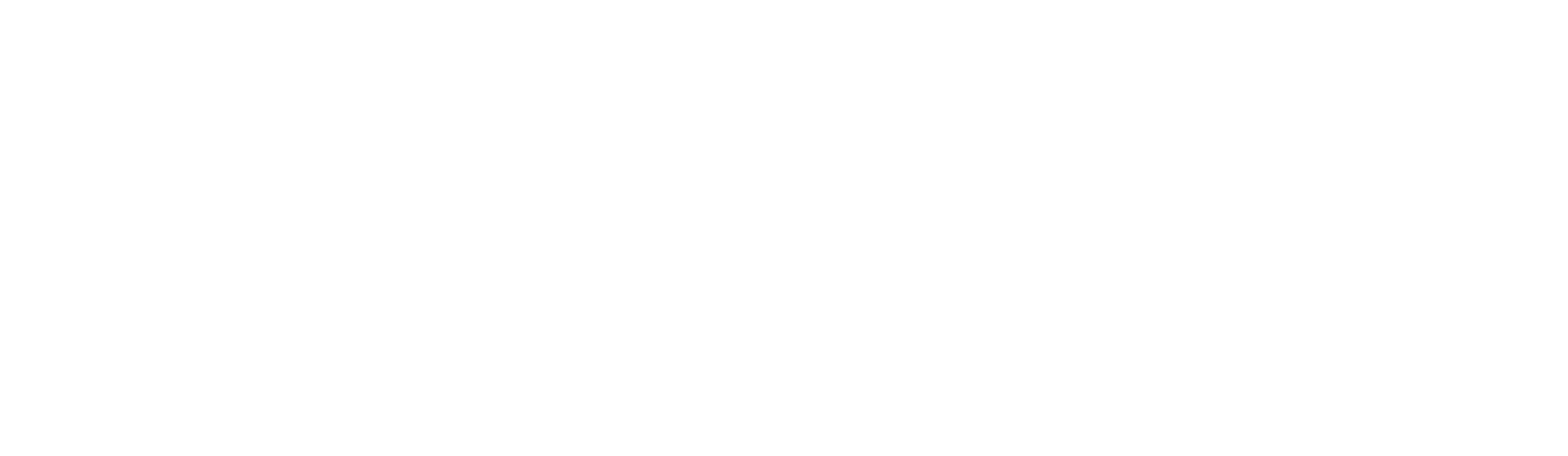 salem media group logo